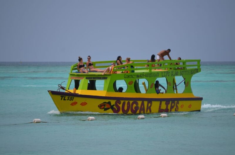 Tobago: Glass Bottom Boat & Highlights Tour - Experience Details