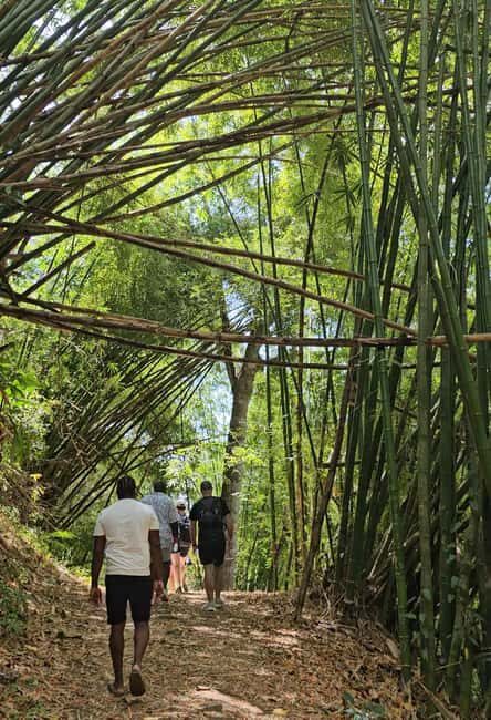 Tobago: Half Day Atlantic Coast Tour with Transfer - A Detailed Look at the Experience