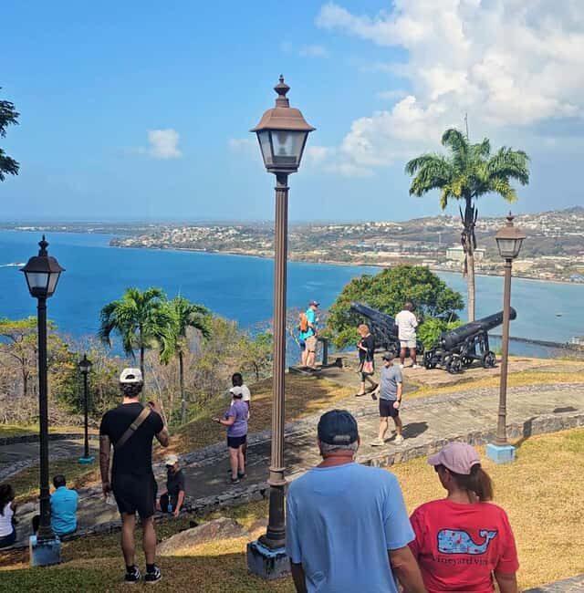 Tobago: Half Day Atlantic Coast Tour with Transfer - The Sum Up: Is This Tour Worth It?