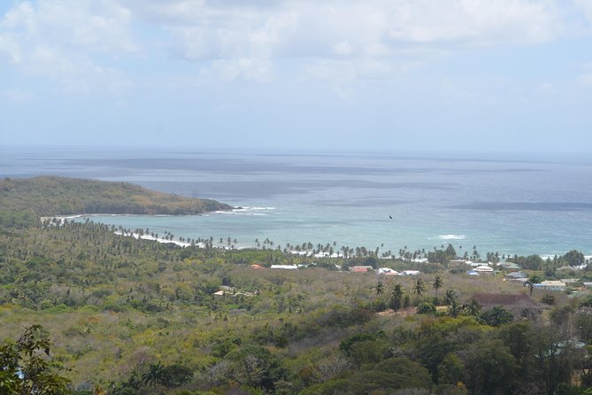 Tobago Island Tour - Tour Overview