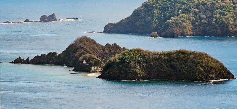 Tobago: Little Tobago Bird Sanctuary Visit and Boat Tour - A Practical Look at the Full Experience
