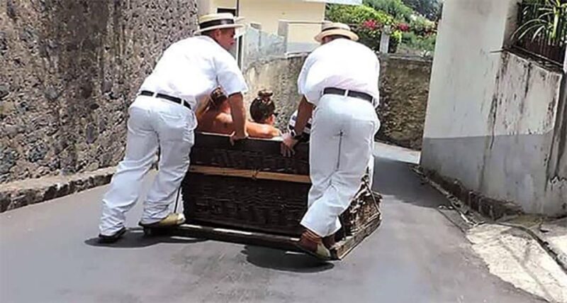 Toboggan Ride & Madeira Wine Tasting Tour - Itinerary Highlights