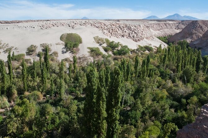 Toconao and Salt Flats in Atacama - Key Points