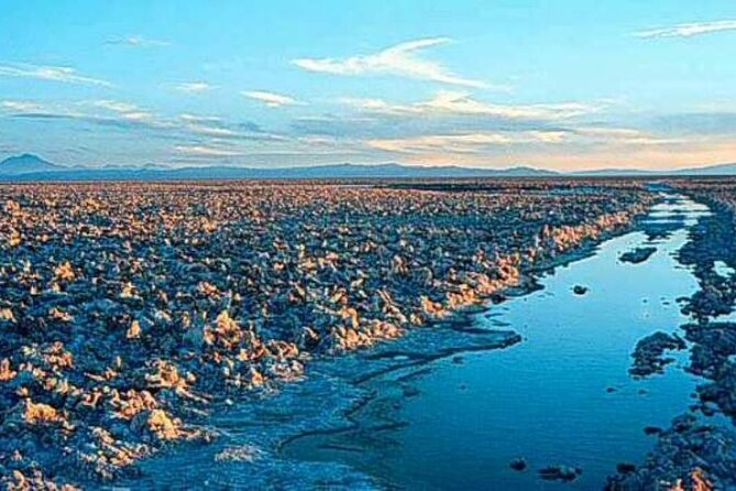 Toconao and Salt Flats in Atacama - Flamingos of Laguna Chaxa