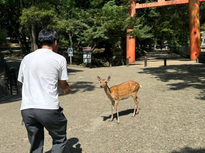 Todai-ji Temple Guided Tour - Itinerary Changes and Flexibility