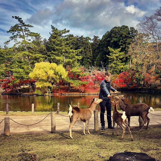 Todaiji Temple, Kasuga Shrine and Nara Park Guided Tour - Guided Experience