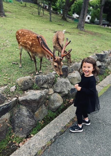 Today's Todaiji, Kasuga, Nara Park, and Hozan-ji (Extended) - Vermilion-Lacquered Kasuga Taisha