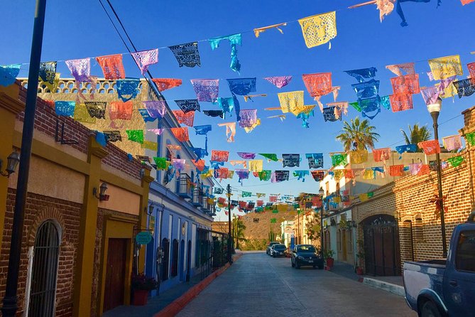 Todos Santos Day Trip From Cabo San Lucas - Tour Details and Restrictions