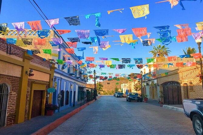 Todos Santos Magical Town Guided Tour - Shopping Opportunities