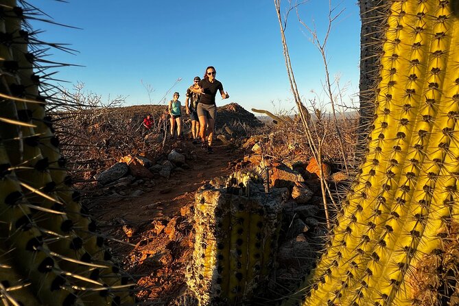 Todos Santos Sunset Hike - Inclusions
