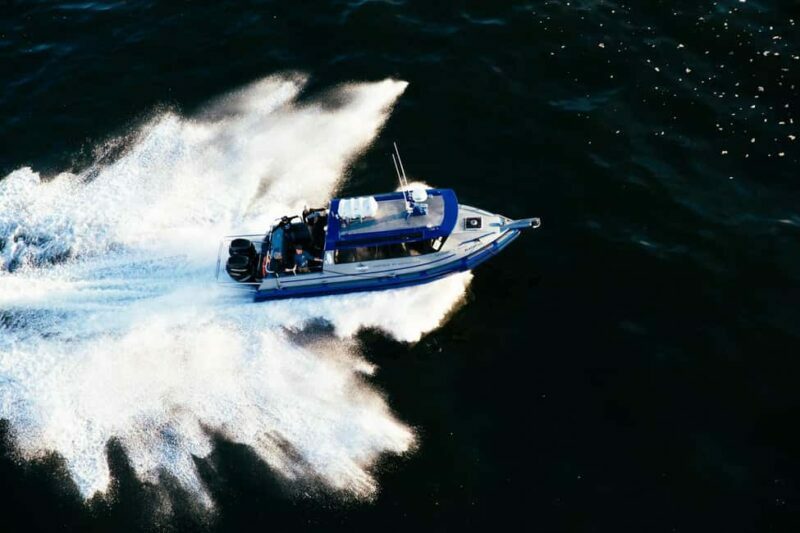 Tofino: Covered Boat Winter Wildlife Watching Tour - Key Points