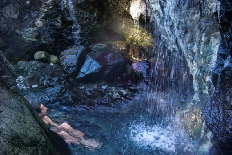 Tofino: Hot Springs Cove Tour with Wildlife Cruise - Key Points