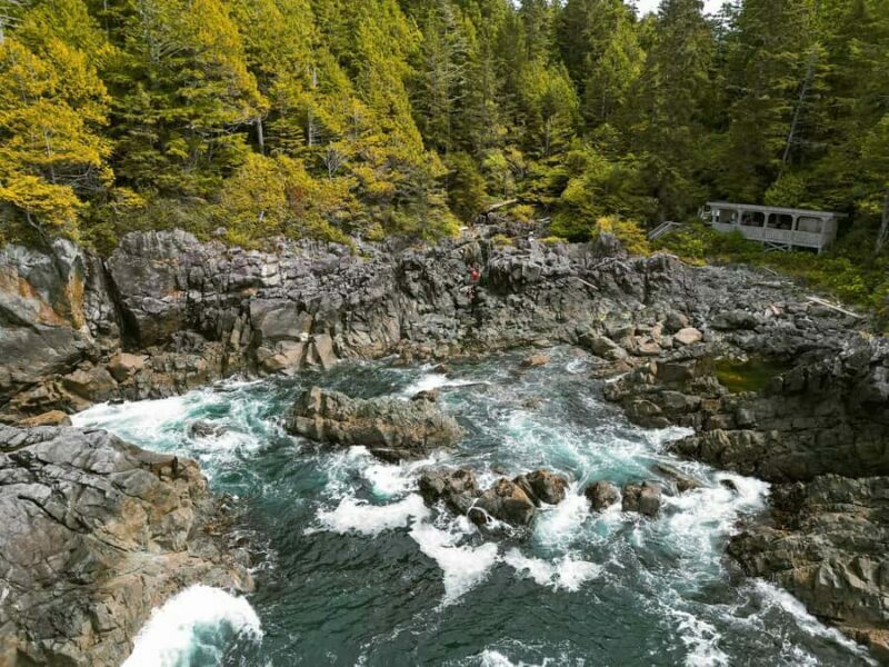 Tofino: Hot Springs Cove Tour with Wildlife Cruise - What to Expect from the Tour