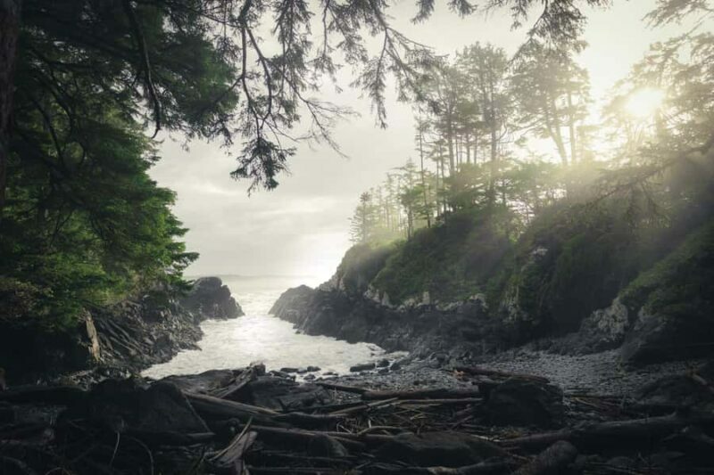 Tofino: Hot Springs Cove Tour with Wildlife Cruise - Final Thoughts