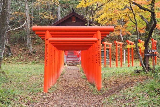 Togakushi Shrine Hiking Trails Tour in Nagano - Renowned Togakushi Soba Lunch