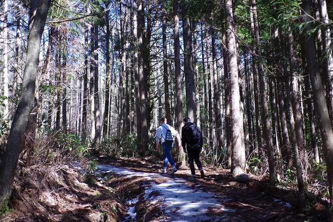 Togakushi Shrine Hiking Trails Tour in Nagano - Meeting and End Point