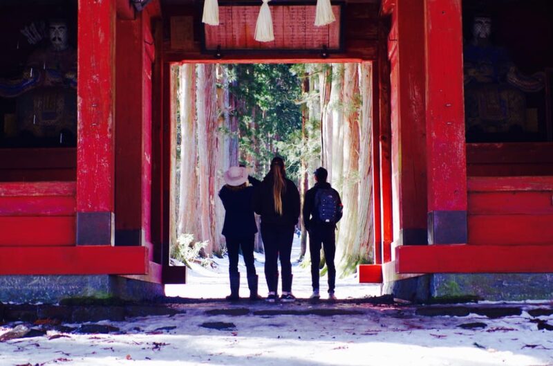 Togakushi Shrine Hiking Trails Tour With Soba in Nagano - Experience and Activities