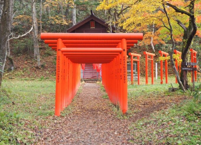 Togakushi Shrine Hiking Trails Tour With Soba in Nagano - Exploring the Togakushi Shrine Complex