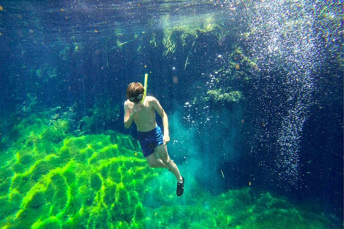 Toh Tours Adventures Cenotes Chemuyil - Preparing for the Adventure