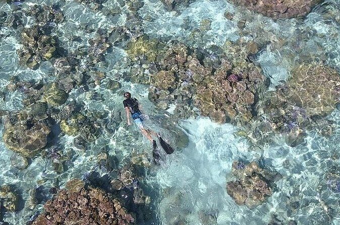 Tohora Bora Bora Snorkeling Lagoon Tours - Who Should Consider This Tour?