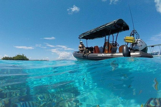 Tohora Bora Bora Snorkeling Lagoon Tours - FAQ