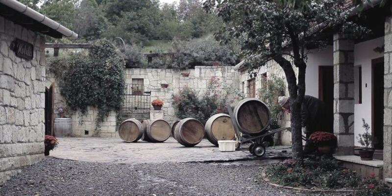 Tokaj and Sárospatak Private Day Tour From Budapest - Customer Feedback