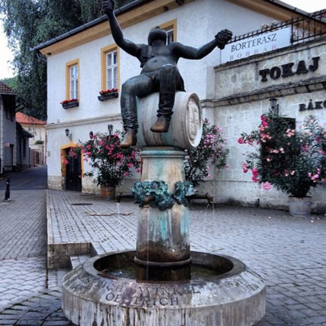 Tokaj and Sárospatak Private Day Tour From Budapest - Cancellation Policy
