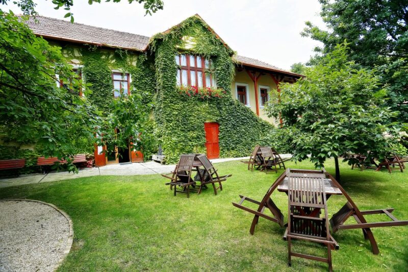 Tokaj: Classic Wine Tasting - Tasting Lineup and Experience