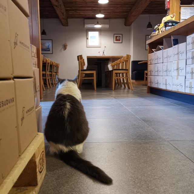 Tokaj: Classic Wine Tasting - Customer Feedback