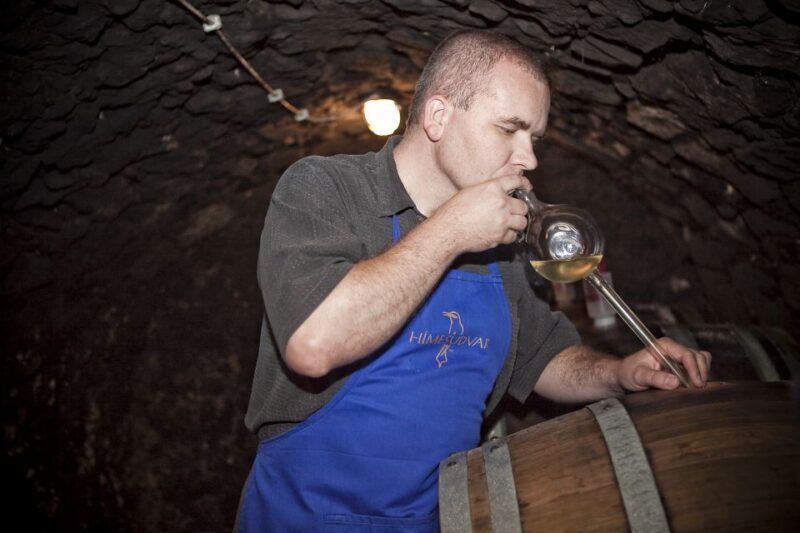Tokaj: Vineyard Tour & Tasting - Itinerary