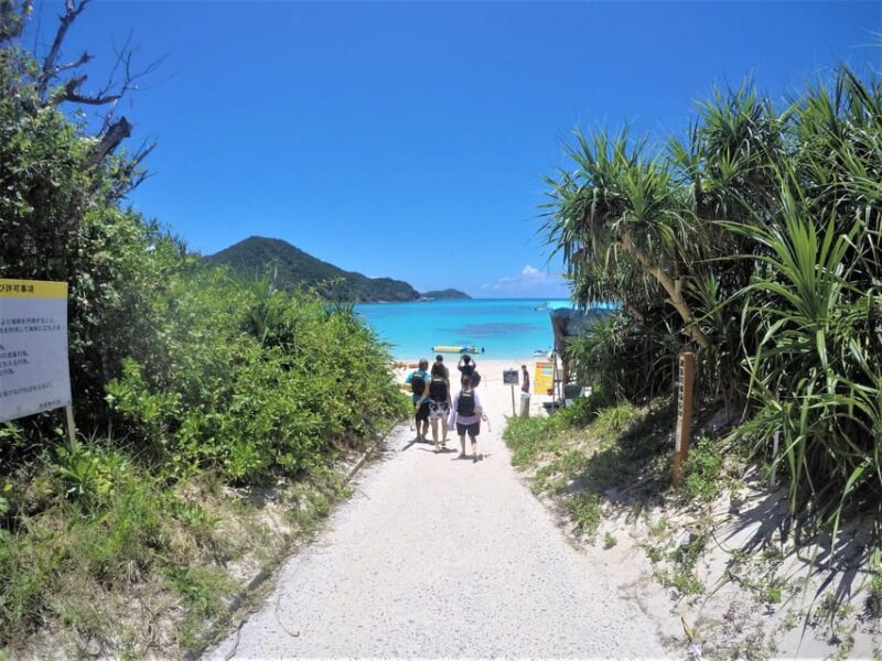 Tokashiki 1 Day: 2 Beaches Snorkeling  Summer Limited! - Itinerary