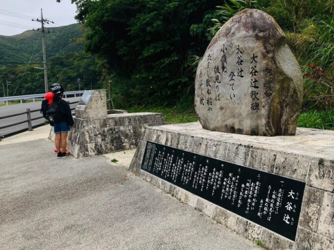 Tokashiki Island : Guided Cycling Tour 5h - Scenic Tokashiki Forest Road