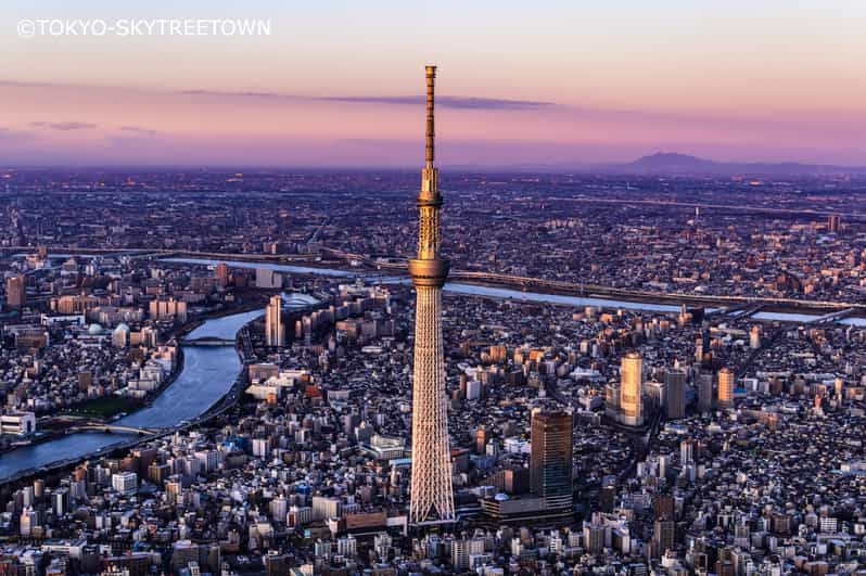 Tokyo: 1 Day Bus Tour With Meiji-Jingu,Odaiba,Lunch&Skytree - Key Points