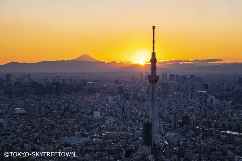 Tokyo: 1 Day Bus Tour With Meiji-Jingu,Odaiba,Lunch&Skytree - Itinerary Highlights