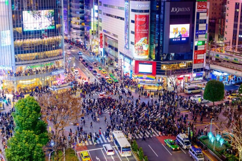 Tokyo: 1 Day Private Customisable City Tour by Car and Van - Contact Information