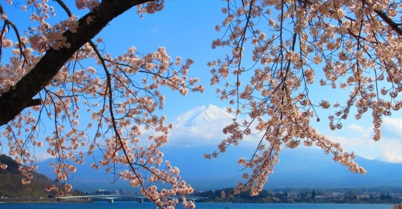 Tokyo: 2-Day Customizable Private Tour With Hotel Transfer - Customizable Itinerary Experiences