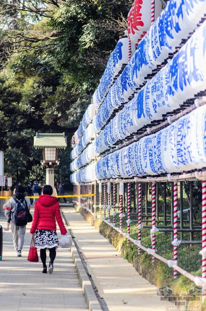 Tokyo: 2-Day Guided Tour for Big Group (4 to 16 People) - Key Points