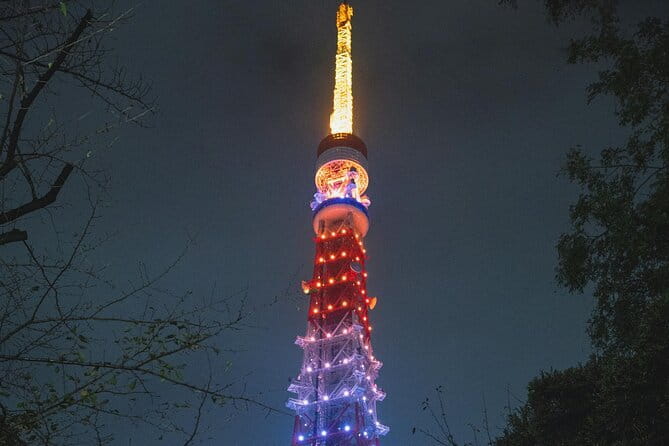 Tokyo 2-Day Private Walking Tour With Licensed Guide - Making the Most of Your 2-Day Experience