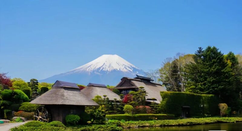TOKYO 23 Wards One Day Trip - Inclusions and Exclusions