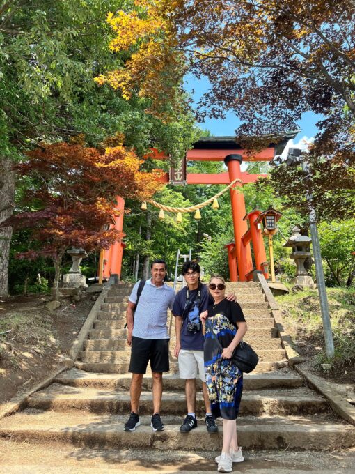 Tokyo: 3-Day Nikko, Tokyo, and Mt. Fuji SightSeeing Tour - Inclusions and Optional Services