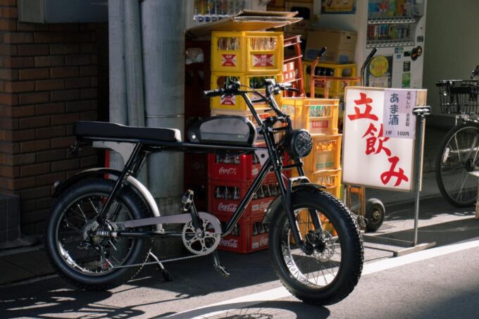 Tokyo: 3-hour Guided E-Bike Tour of the Citys Hidden Gems - Experiencing Unique Cityscapes