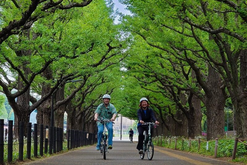 Tokyo: 3h Private E-bike Cycling Tour Starting at Your Hotel - Experience and Itinerary