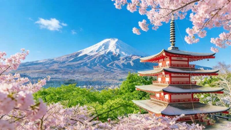 Tokyo 6 Top Spots: Yamanakako, Oshino Hakkai, Oishi Park - Key Points