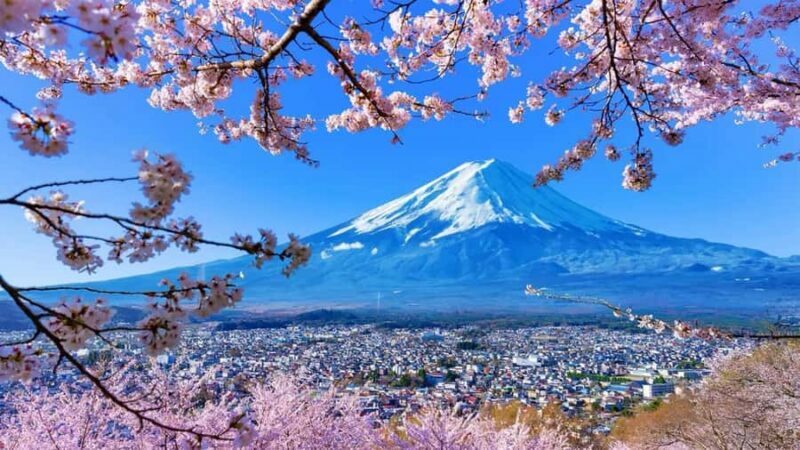 Tokyo 6 Top Spots: Yamanakako, Oshino Hakkai, Oishi Park - Who Will Love This Tour?