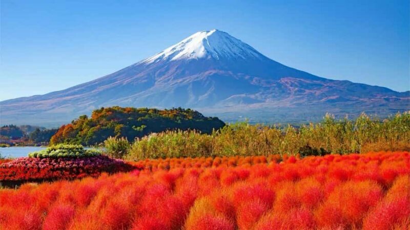 Tokyo 6 Top Spots: Yamanakako, Oshino Hakkai, Oishi Park - FAQ