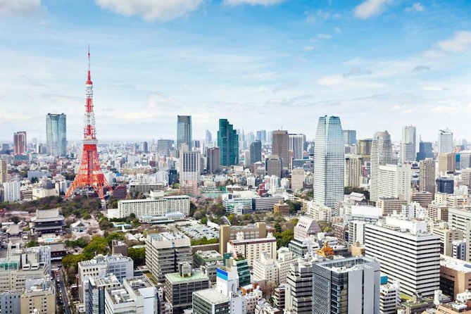Tokyo 6hr Private Tour With Licensed Guide (Max 15 Persons) - Accessibility and Participation