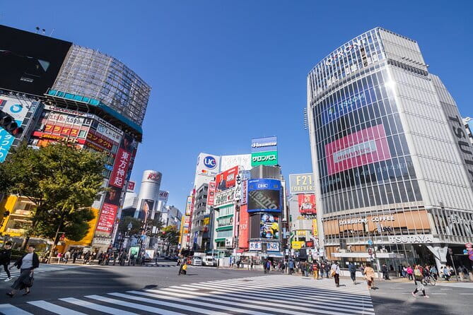 Tokyo 7 Hours Tour Licensed Guide and Vehicle NRT Airport Pick up - Key Points