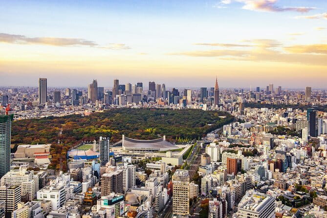 Tokyo 7 Hours Tour Licensed Guide and Vehicle NRT Airport Pick up - Accessibility and Special Requirements