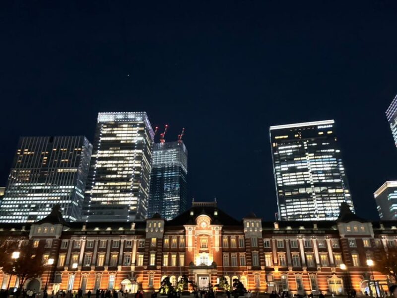 Tokyo: a Custom-Made Tour for Special Winter - Included and Excluded Features