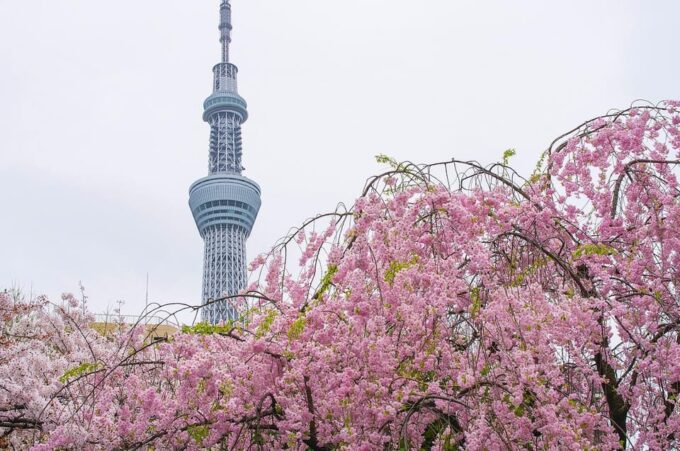Tokyo: a Custom-Made Tour for Special Winter - Indulging in Street Food Experiences